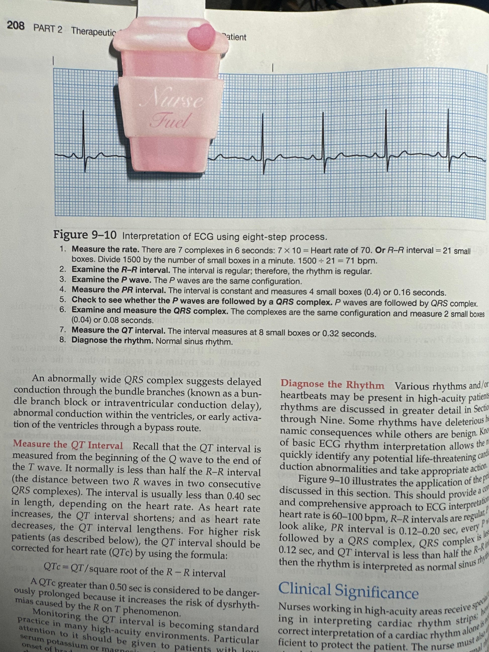 Nurse Fuel Book Magnet